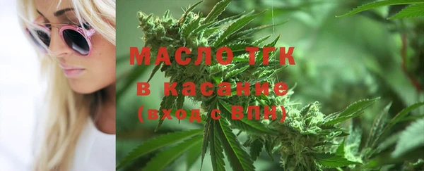 индика Аркадак
