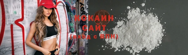 индика Аркадак