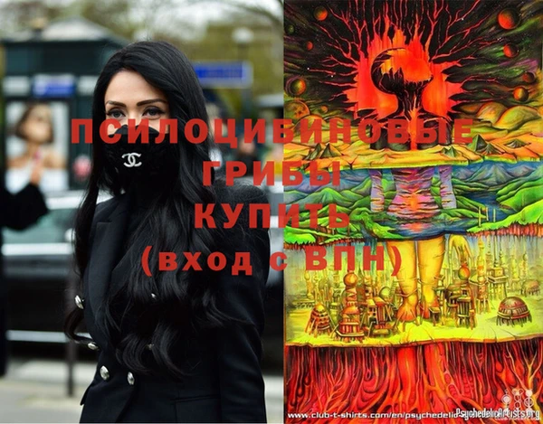 дурь Армянск