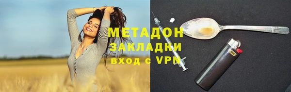 индика Аркадак