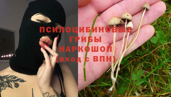 индика Аркадак