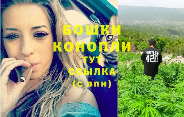 индика Аркадак