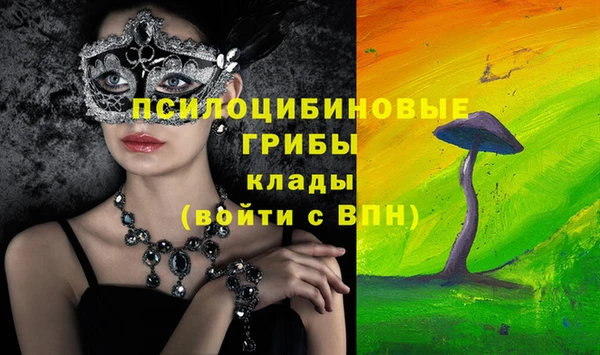 дурь Армянск