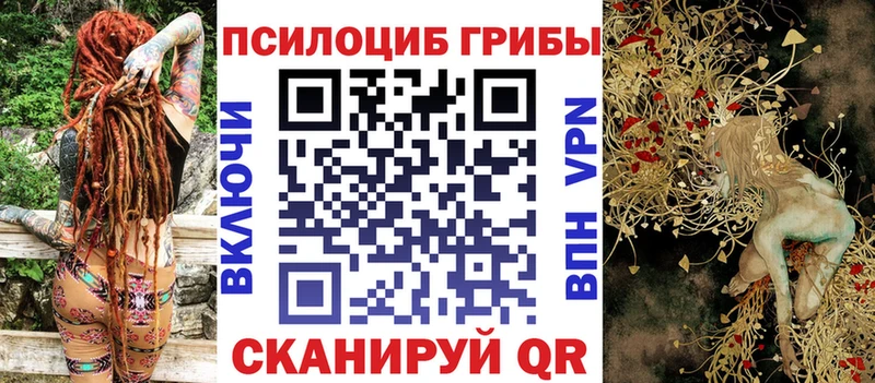цена наркотик Бабаево Галлюциногенные грибы MAGIC MUSHROOMS